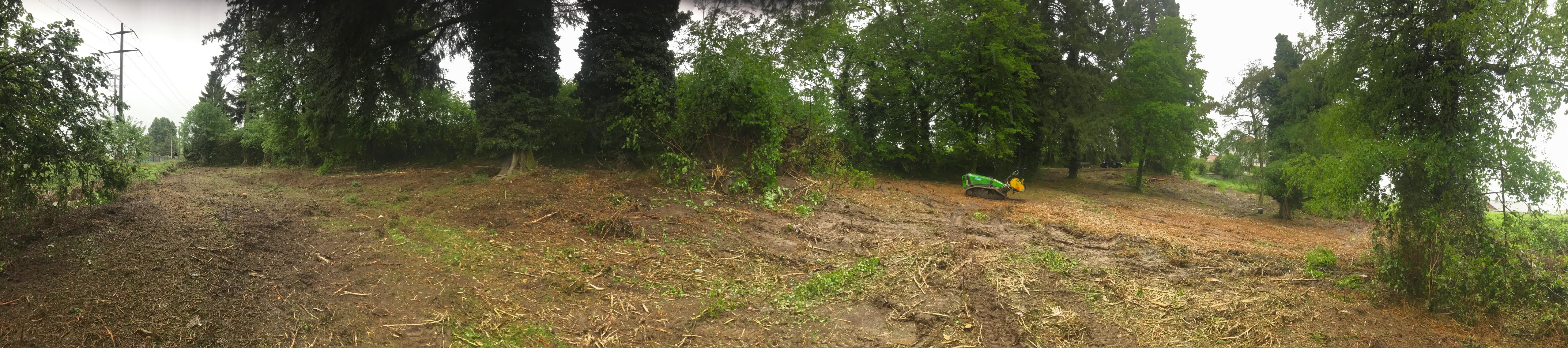 Défrichement et déboisement dans le Jura — SAS POLYVIER